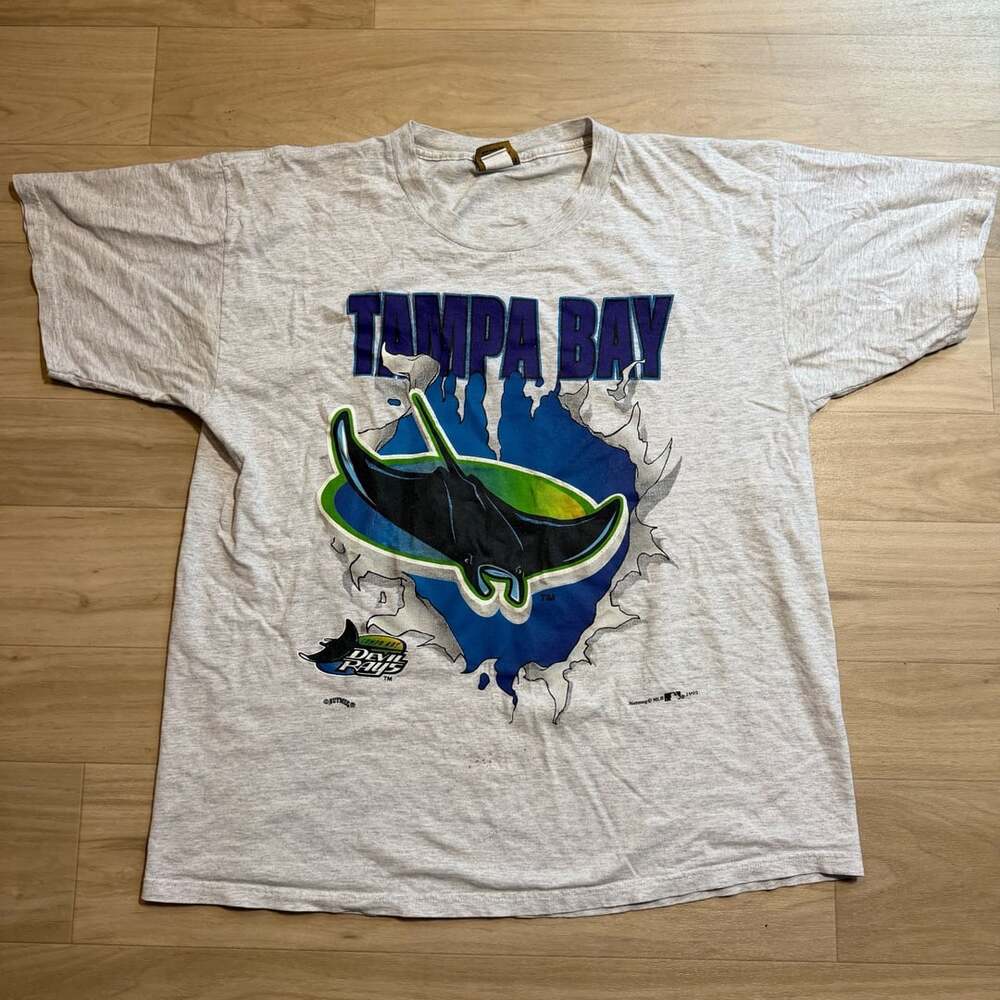 Nutmeg Tampa Bay Devil Rays Breakout T-Shirt Size XL 1995 Gray
